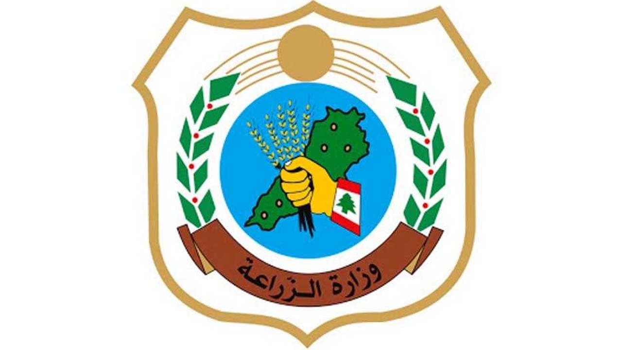 "الزراعة": ضبط مخالفة صيد بالمتفجرات قبالة كفرعبيدا