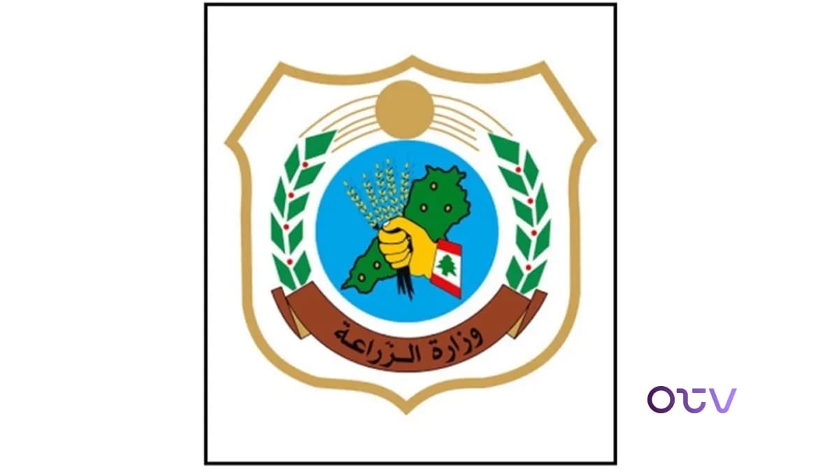 وزارة الزراعة: لم نصدر أي ترخيص لقطع الأشجار في سن الفيل